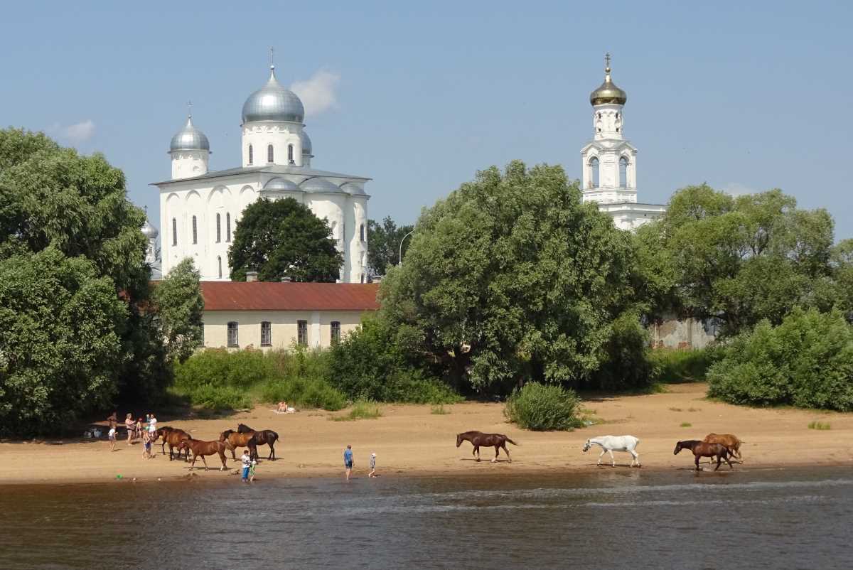 Nowgorod: Fluss-Pferde! ;o)